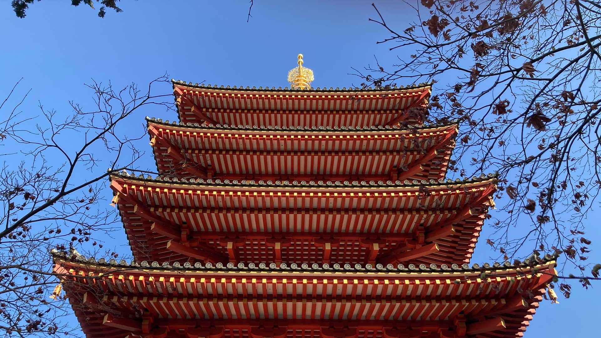 🏯 다카하타산 묘오인 곤고지(다카하타후도손) 이미지 6